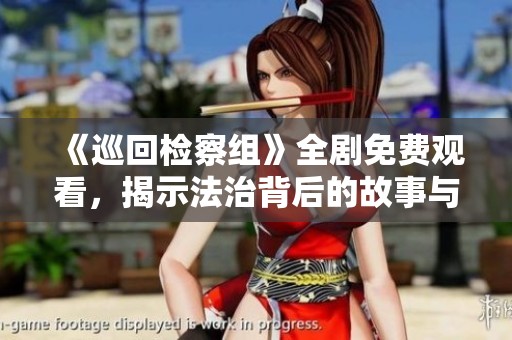 《巡回检察组》全剧免费观看，揭示法治背后的故事与阴影