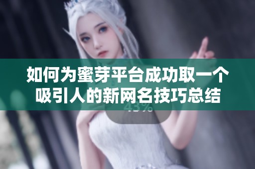 如何为蜜芽平台成功取一个吸引人的新网名技巧总结