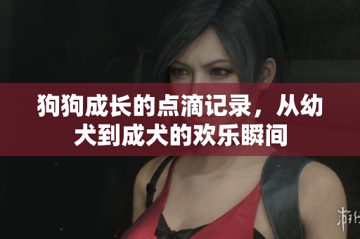 狗狗成长的点滴记录，从幼犬到成犬的欢乐瞬间