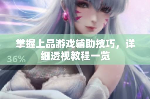 掌握上品游戏辅助技巧，详细透视教程一览