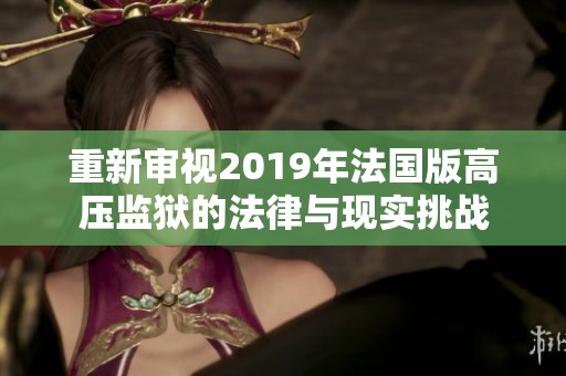 重新审视2019年法国版高压监狱的法律与现实挑战