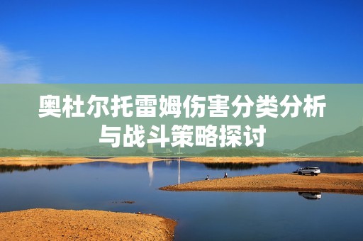 奥杜尔托雷姆伤害分类分析与战斗策略探讨