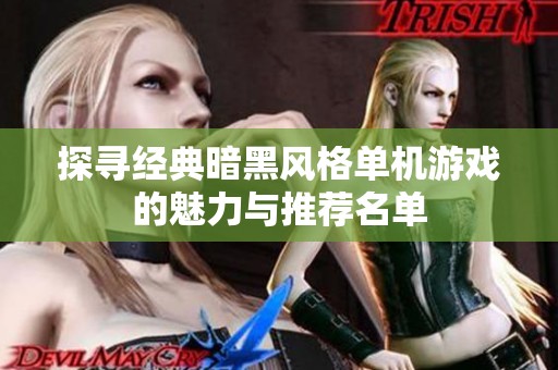 探寻经典暗黑风格单机游戏的魅力与推荐名单