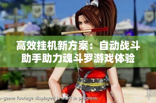 高效挂机新方案：自动战斗助手助力魂斗罗游戏体验