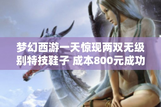 梦幻西游一天惊现两双无级别特技鞋子 成本800元成功入魂揭秘