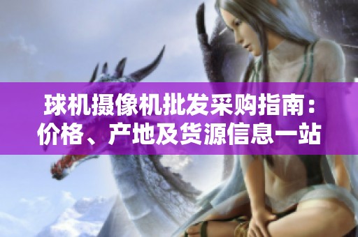 球机摄像机批发采购指南：价格、产地及货源信息一站式查询