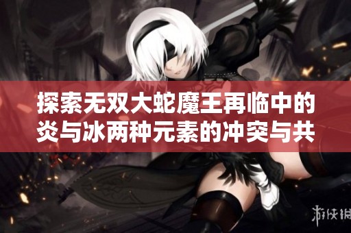 探索无双大蛇魔王再临中的炎与冰两种元素的冲突与共存之谜