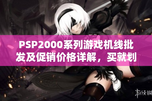 PSP2000系列游戏机线批发及促销价格详解，买就划算