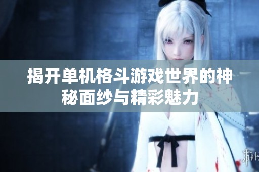 揭开单机格斗游戏世界的神秘面纱与精彩魅力