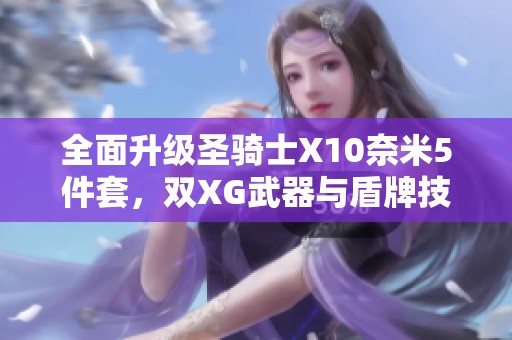 全面升级圣骑士X10奈米5件套，双XG武器与盾牌技能全洗炼