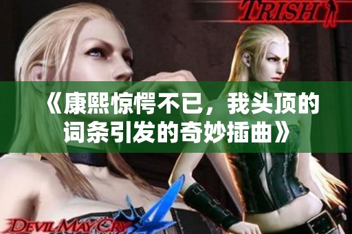 《康熙惊愕不已，我头顶的词条引发的奇妙插曲》
