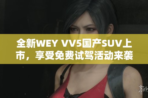 全新WEY VV5国产SUV上市，享受免费试驾活动来袭