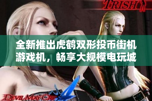 全新推出虎鹤双形投币街机游戏机，畅享大规模电玩城乐趣