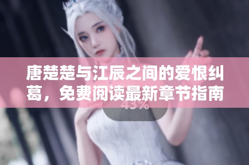 唐楚楚与江辰之间的爱恨纠葛，免费阅读最新章节指南