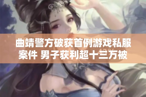 曲靖警方破获首例游戏私服案件 男子获利超十三万被拘留