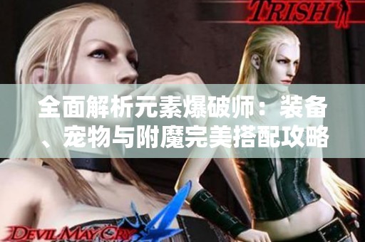 全面解析元素爆破师：装备、宠物与附魔完美搭配攻略
