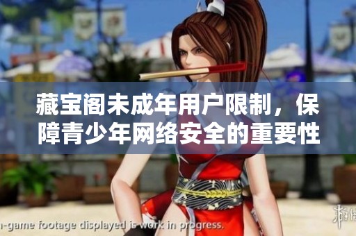 藏宝阁未成年用户限制，保障青少年网络安全的重要性
